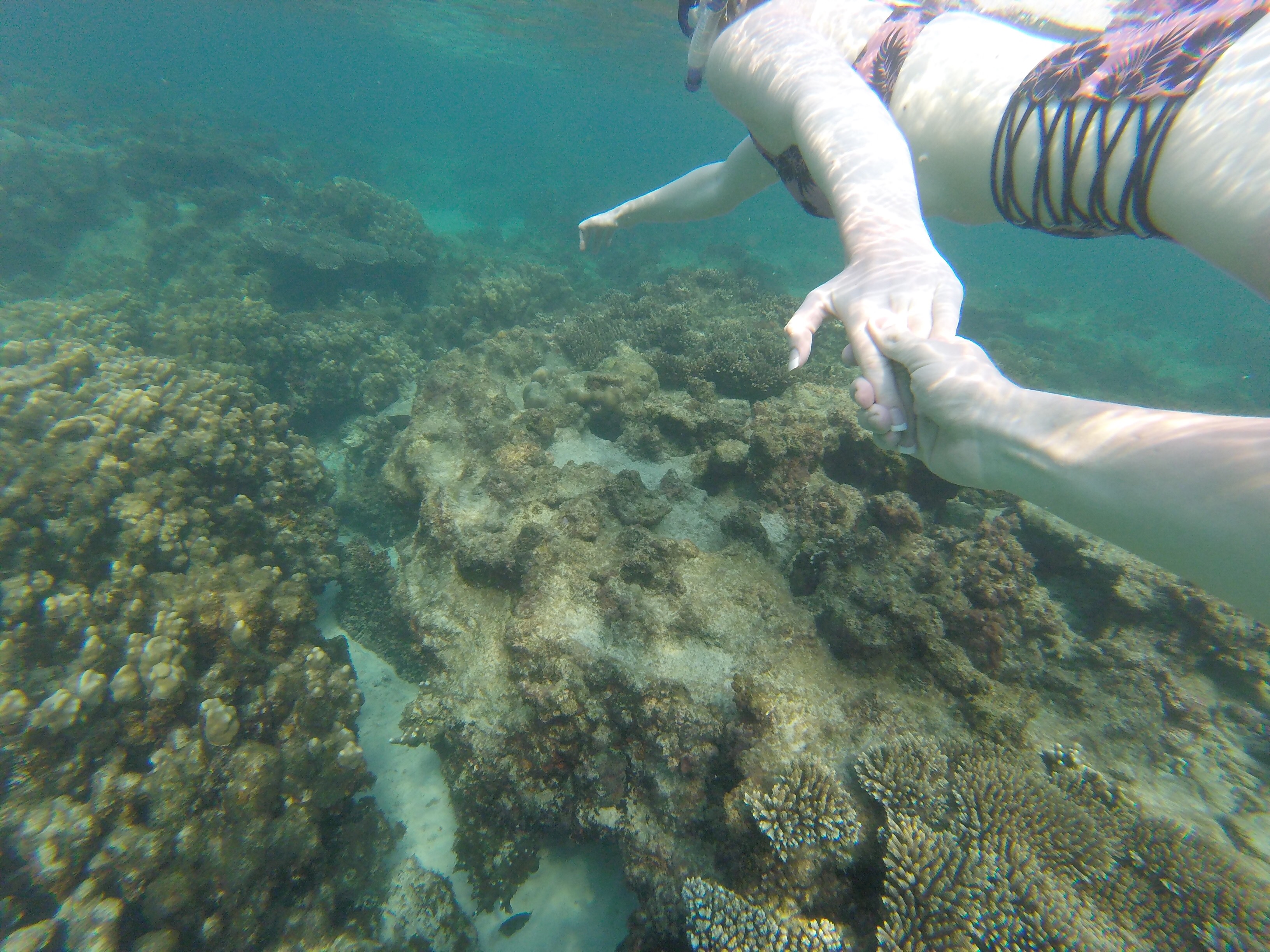 Erinn snorkeling at the An Thoi islands. 